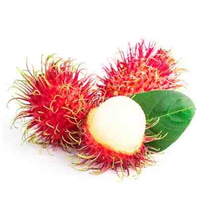 Rambutan Fruits (Malaysia)